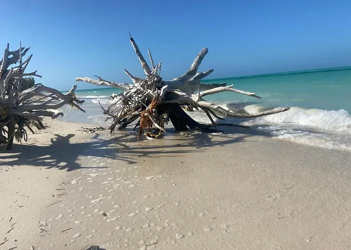 LaIsla Holbox Luxury Villa