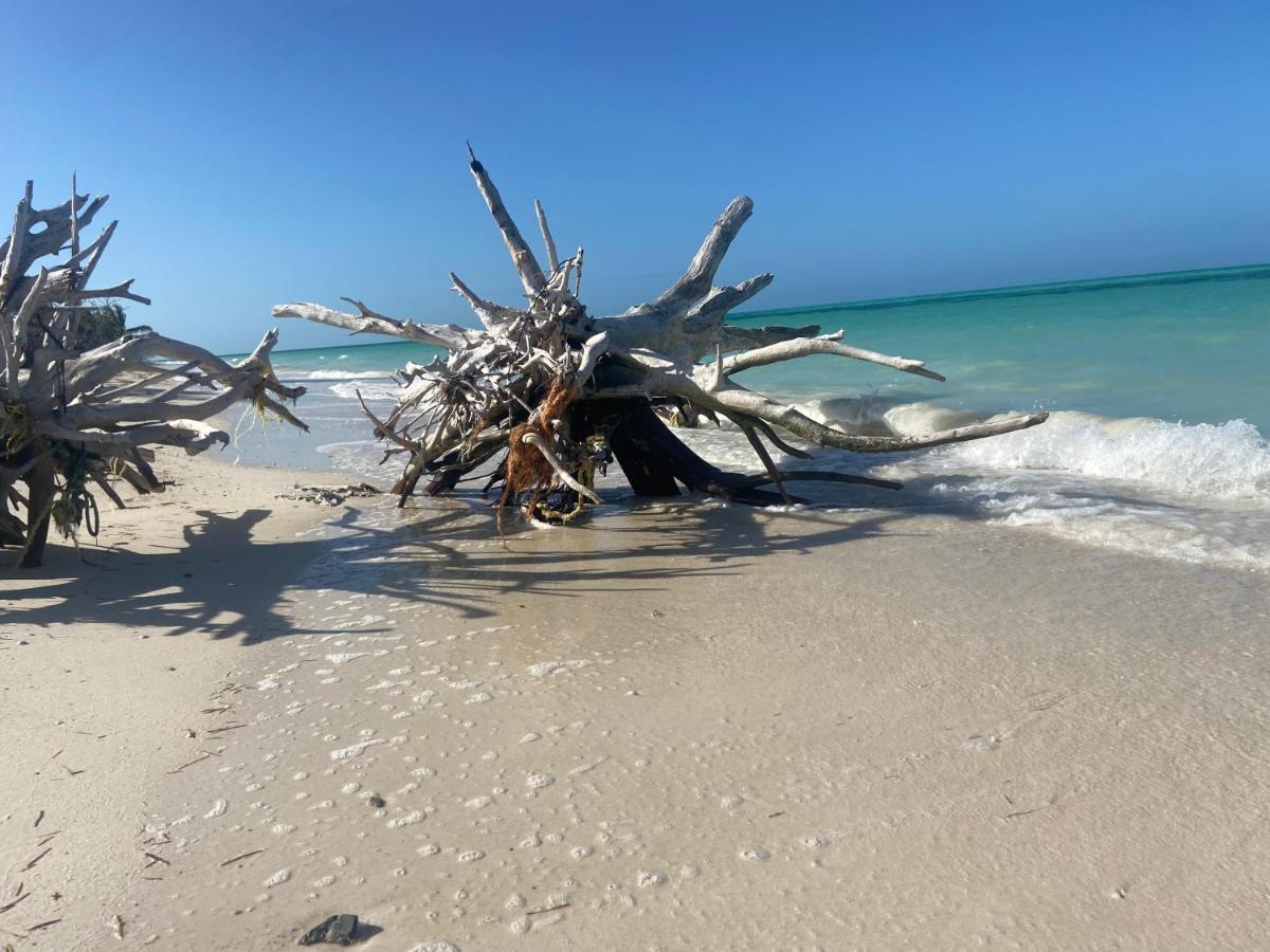Laisla Luxury * Holbox