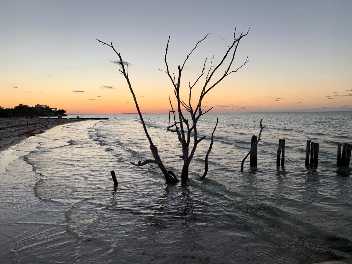 Laisla Luxury * Holbox